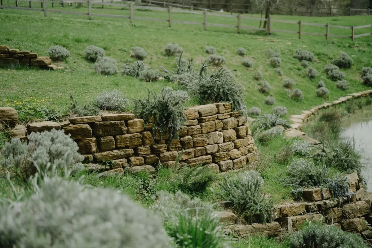 Terraced retaining and planted slope